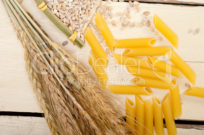 Italian pasta penne with wheat