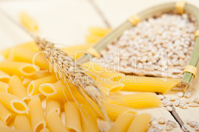 Italian pasta penne with wheat