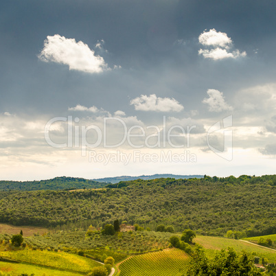 Fields in Tuscany