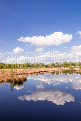 moor landscape