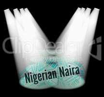 Nigerian Naira Means Foreign Currency And Forex