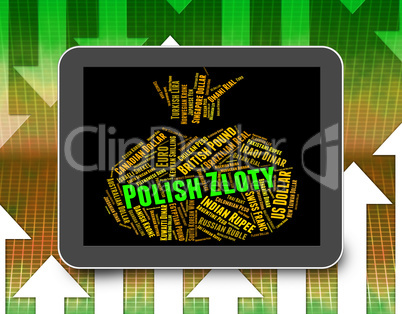 Polish Zloty Shows Foreign Currency And Coinage