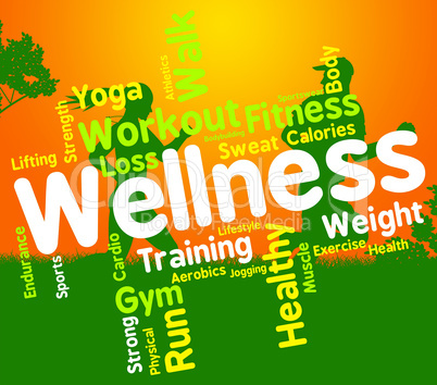 Wellness Words Indicates Health Check And Care
