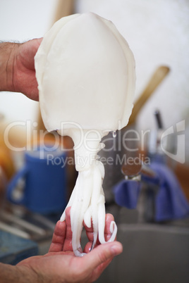 Person cleaning a raw baby octopus or squid