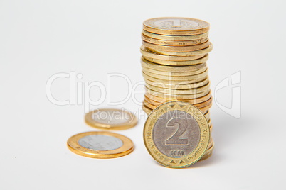 Bosnian convertible mark, coins