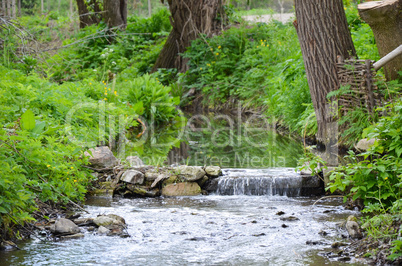Small river in early spring landscape
