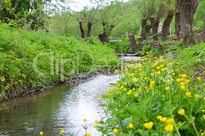 Small river in early spring landscape