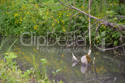 Small river in early spring landscape