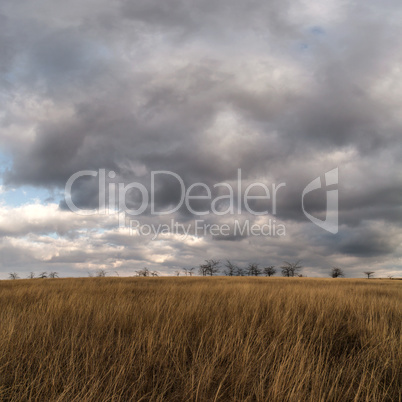storm clouds in the autumn steppe