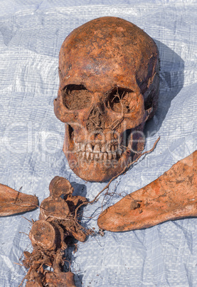 Skeleton remains of a buried unknown victim