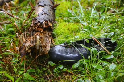 Old Shoe lost in the woods