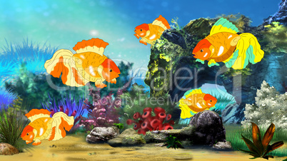 Goldfish Swimming in a Fish tank