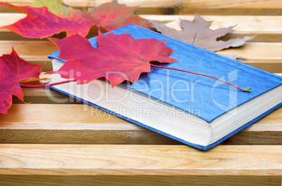 Book and fallen leaves on a Park bench.