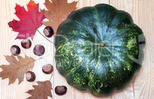 Large green pumpkin, chestnuts and yellow leaves.g