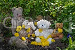 Teddy Bären mit Löwenzahn im Garten