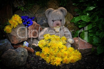 Teddy Bär mit Löwenzahn im Garten