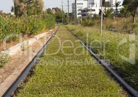 Tram railway on green grass photo