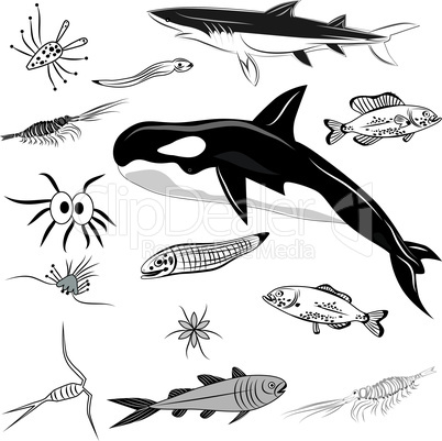 Fish design icon vector set. Illustration of whale, shark black and white