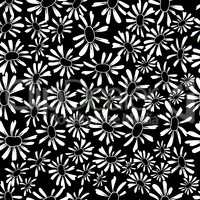 Camomile seamless pattern