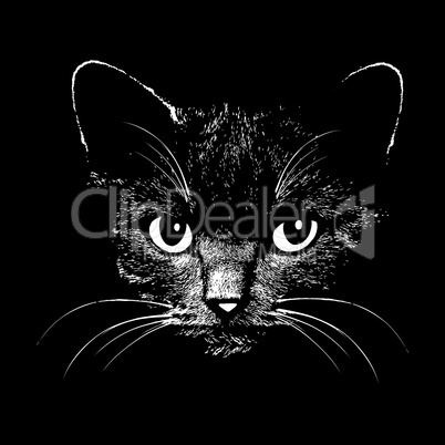 Vector illustration of cat head