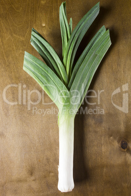 Leek on a wooden wall