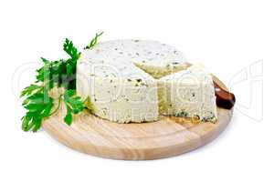 Cheese homemade with parsley on round board