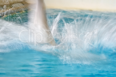 Dolphin blur leaping