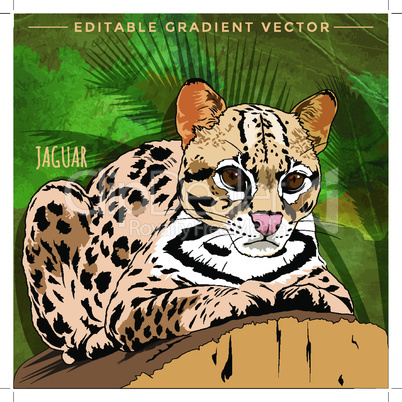 Wild Cats. Jaguar