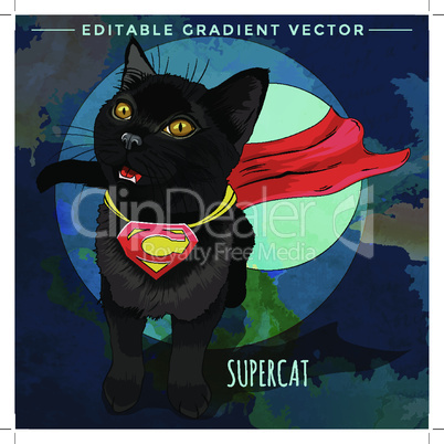 Cats superheroes. SuperCat