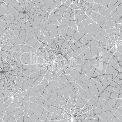 spider web texture background