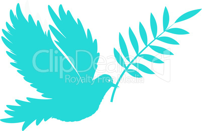 bird dove of peace vector