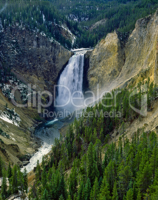 Lower Falls, Yellowstone National Park