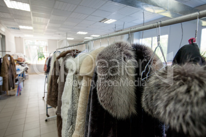 Image of fur coats on hangers in laundry room