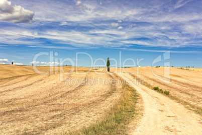 Fields in Tuscany