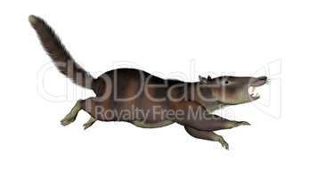 Cronopio dentiacutus, prehistoric mammal - 3D render