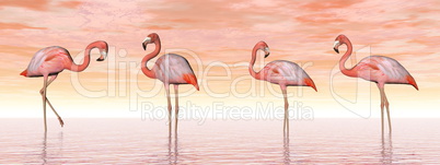 Pink flamingos in water - 3D render