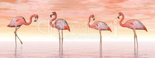 Pink flamingos in water - 3D render