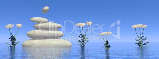 Zen white poppies - 3D render