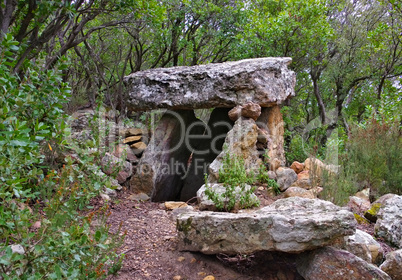 Montgaillard Dolmen de Trillol