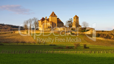 Pierreclos Chateau - Chateau Pierreclos in France