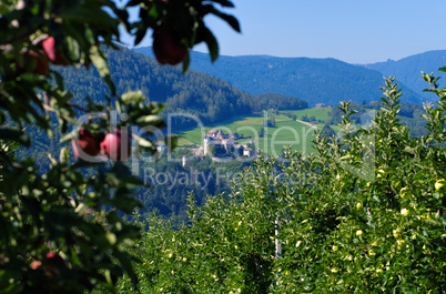 Proesels Schloss - old Proesels castle