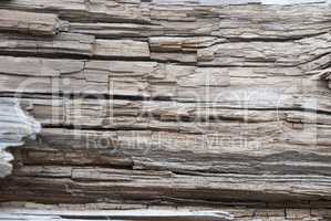 Wooden Rustic Background Or Texture, Copy Space