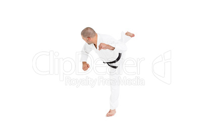 Fighter performing karate stance