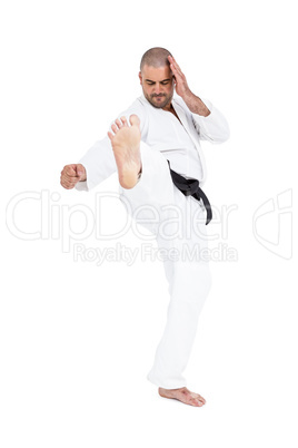 Fighter performing karate stance