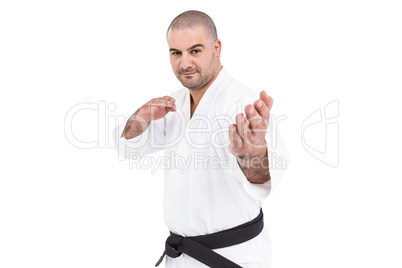 Fighter performing karate stance