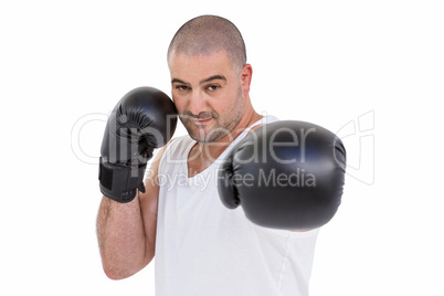 Boxer performing upright stance