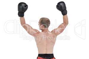 Boxer posing after victory