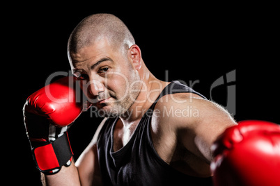 Boxer performing upright stance