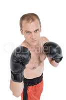 Portrait of boxer performing boxing stance