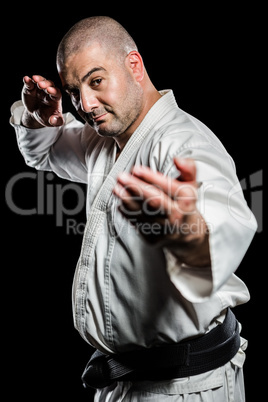 Fighter performing karate stance